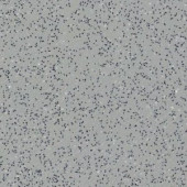 Лінолеум Grabo Ecosafe 1173-20-279 Лінолеум Grabo Ecosafe 1173-20-279