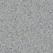 Лінолеум Grabo Ecosafe 1173-20-279