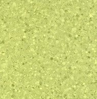 Лінолеум Grabo Fortis Kiwi (салатовий)