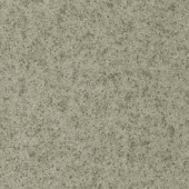 Лінолеум Grabo Standart PUR 4564-496-4