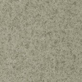 Лінолеум Grabo Standart PUR 4564-496-4