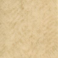 Лінолеум Grabo Standart PUR 4326-451-4