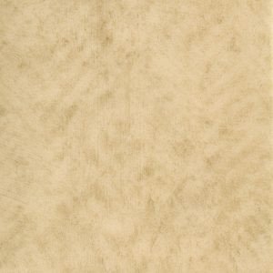 Лінолеум Grabo Standart PUR 4326-451-4