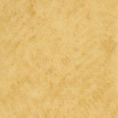 Лінолеум Grabo Standart PUR 4326-452-4