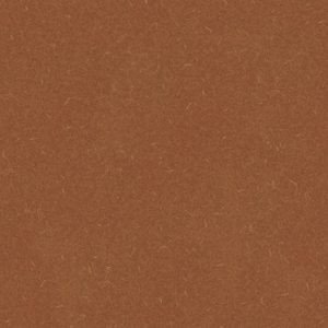 Лінолеум Grabo Silver Knight Acoustic 7 455-866-275