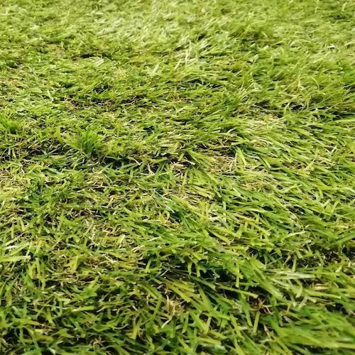 Штучна трава Bellinturf Rainbow 40 