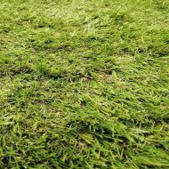 Штучна трава Bellinturf Rainbow 40 