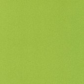 Лінолеум IVC Ranger Devon M22 Лінолеум IVC Ranger Devon M22