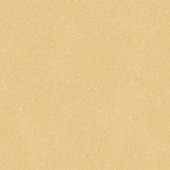 Silver Knight Acoustic 7 455-867 Silver Knight Acoustic 7 455-867