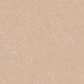 Silver Knight Acoustic 7 455-865