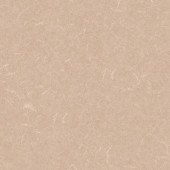 Silver Knight Acoustic 7 455-865