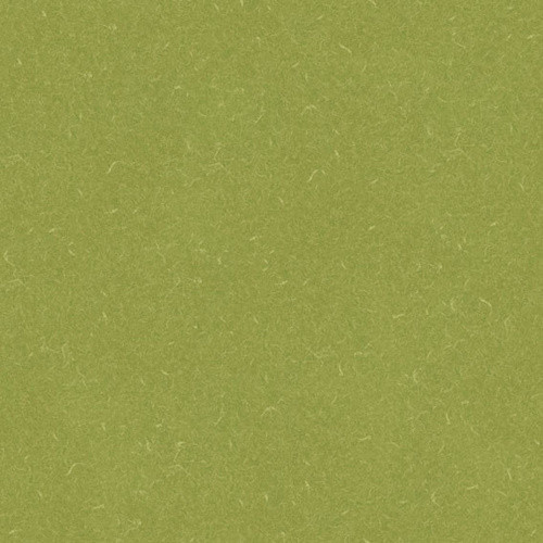 Silver Knight Acoustic 7 455-886