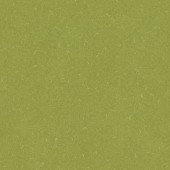 Silver Knight Acoustic 7 455-886