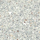 Лінолеум Grabo Ecosafe 1017-664/20-279