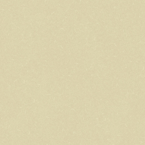 Silver Knight Acoustic 7 455-881