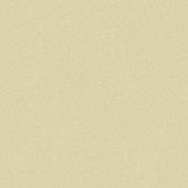 Silver Knight Acoustic 7 455-881